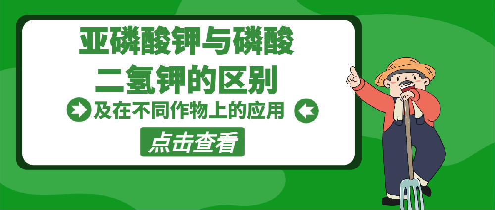 亚磷酸钾与磷酸二氢钾区别，及在不同作物上的应用指导