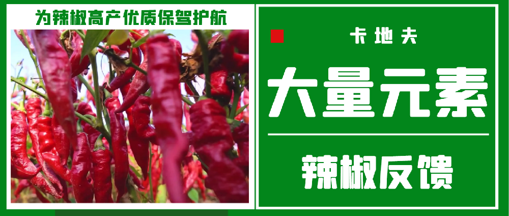 卡地夫大量元素：为辣椒高产优质保驾护航